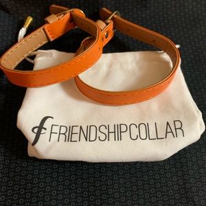Friendship dog collar and bracelet